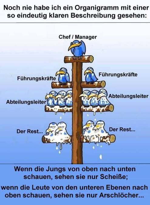 Vögel sitzen auf Stangen, welche aufgebaut ist wie eine Pyramide. Auf der obersten sitzt ein dicker Vogel. Darunter sitzen zwei Vögel mit Vogelkot beschmiert. Darunter sitzen mehrere kleinere Vögel mit noch mehr Kot. Auf der untersten Ebene sind die Vögel mit noch mehr Kot. Die Ebenen sind mit Chef, Führungskräfte, Abteilungsleiter und die untersten mit Der Rest, beschriftet. Ähnelt auch unserer Gesellschaft. Darunter steht sinnbildlich, wenn man von oben nach unten schaut sieht man nur Scheisse und wenn man von unten nach oben schaut sieht man nur Arschlöcher. 
