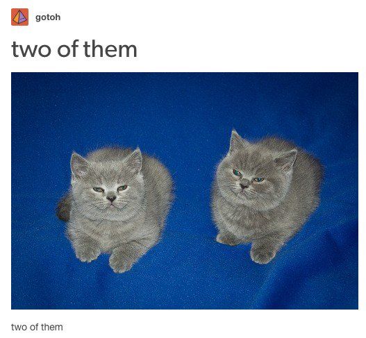 two of them