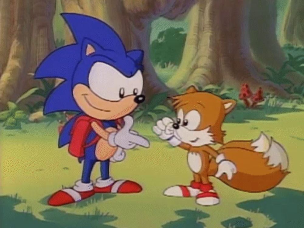 sonic the hedgehog and tails the fox are standing next to each other in a field .