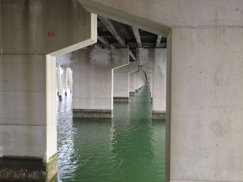 Concrete road supports from underneath where an interstate crosses a river. All the supports are lined up to make a tunnel effect. 