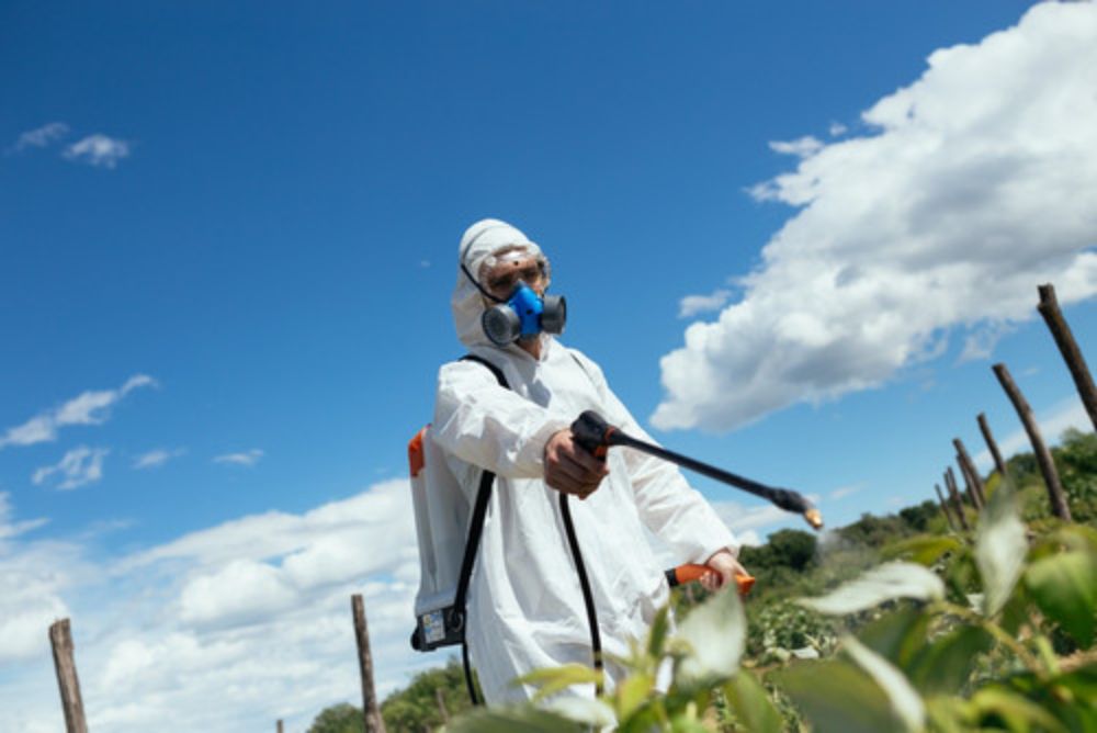 Deutsche Umwelthilfe fordert Bundesrat auf, bestehendes Glyphosatverbot beizubehalten