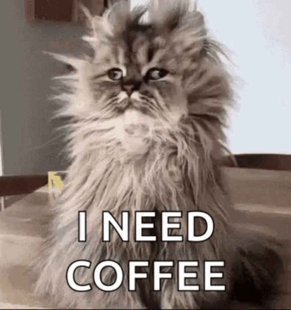 a fluffy cat is sitting on a wooden table and saying `` i need coffee '' .