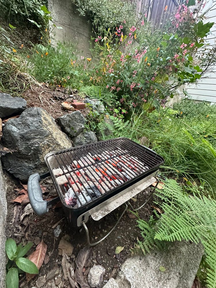 Mini grill in my backyard