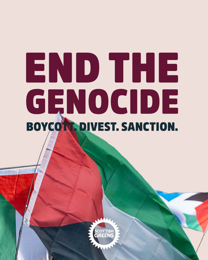 Graphic showing Palestinian flags, with words above saying 