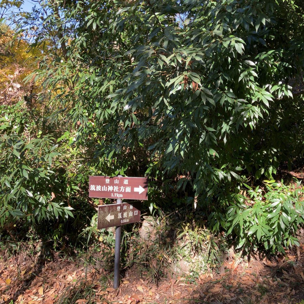 Signpost
“Following the trail signs. Only 1.7 km to Tsukuba Shrine!”
