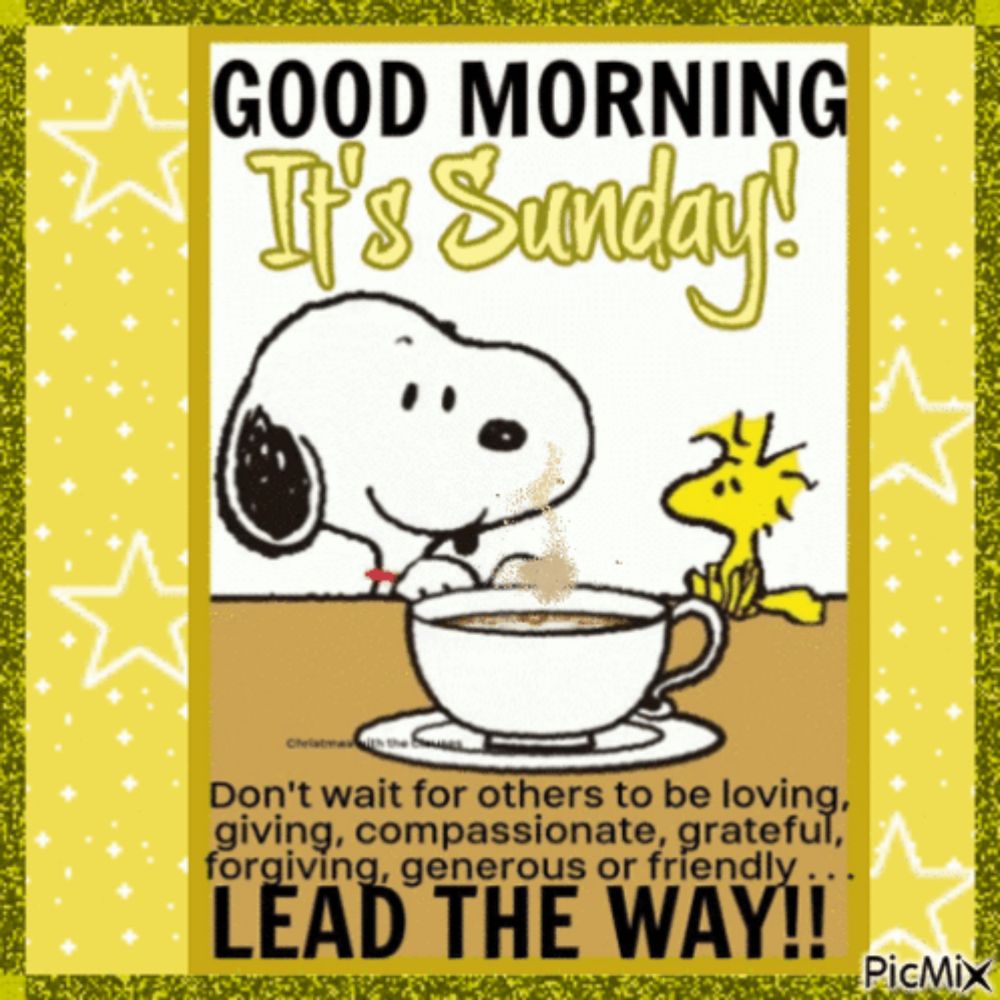 a picture of snoopy and woodstock says good morning it 's sunday ..