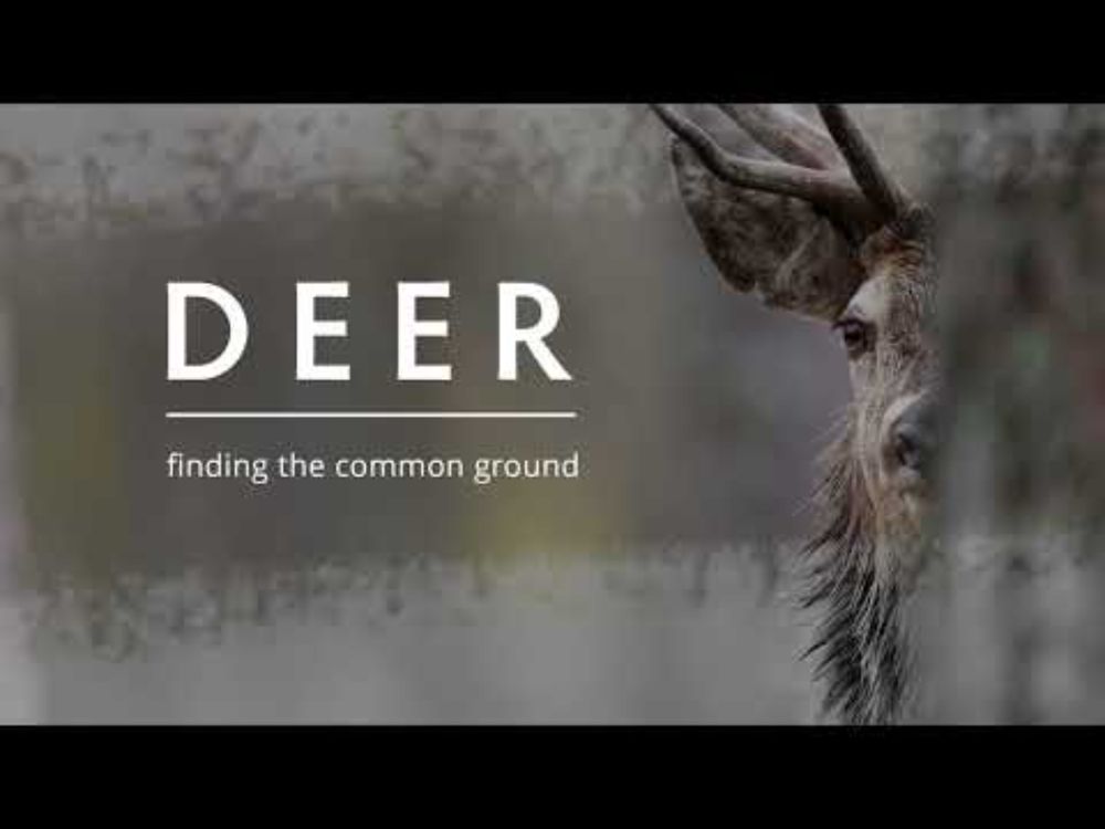 DEER: FINDING THE COMMON GROUND