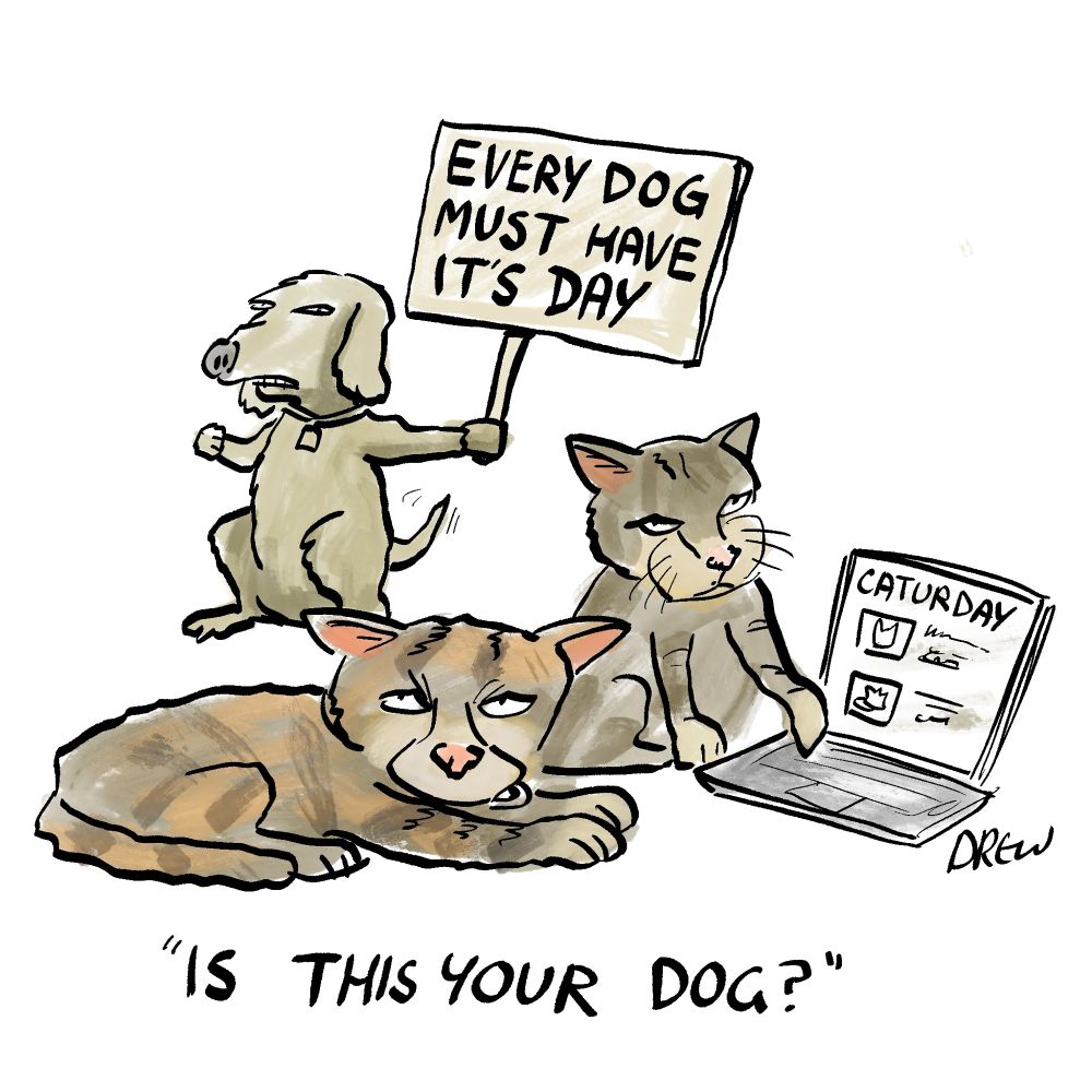 Is this your dog says cats on Caturday to protesting dog with sign “Every dog must have its cat”