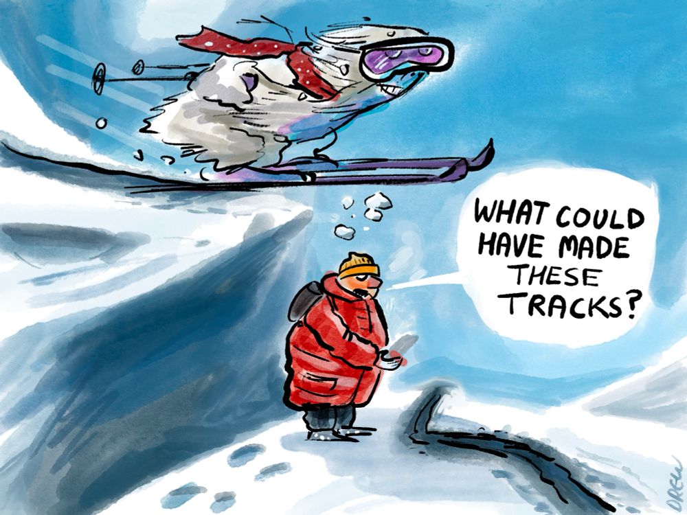 What could made these tracks