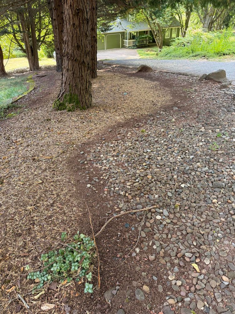 Crisp lines on the edges of my pine beds on my property lines. 