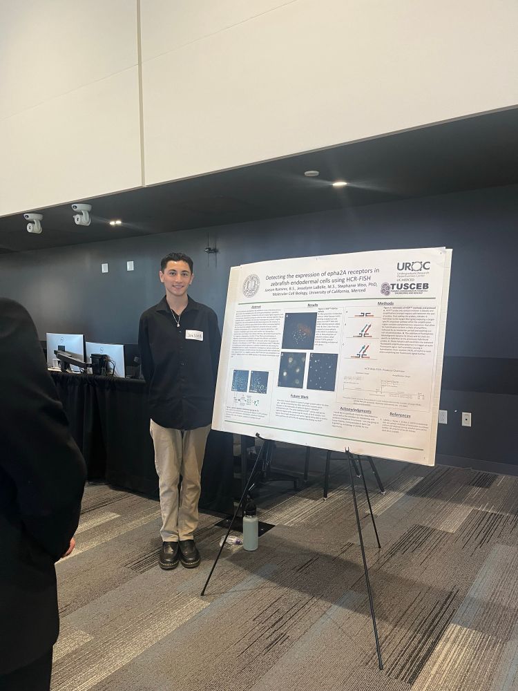 A person standing next to a research poster presentation. 