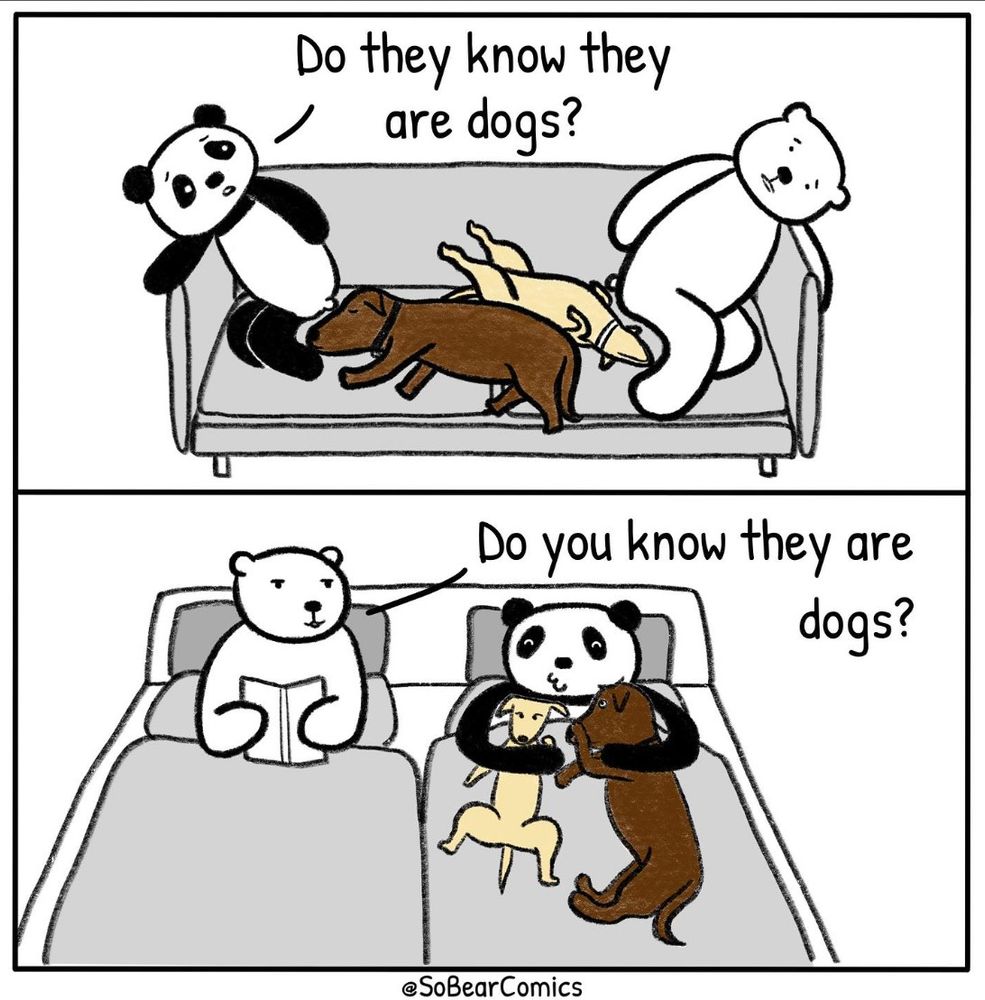 Frame one: Polar Bear and Panda sit on the couch, which is mostly taken up by their dogs. Panda says: "Do they know they are dogs?"
Frame two: Polar Bear and Panda lie in bed and Panda is holding both of the dogs. Polar Bear says: "Do you know they are dogs?"