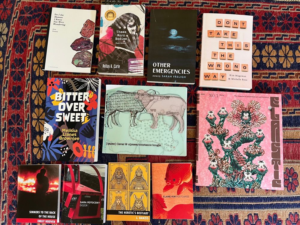 Image of books bought at AWP. 
