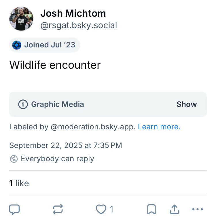 A screenshot of your video, labeled as "graphic media"