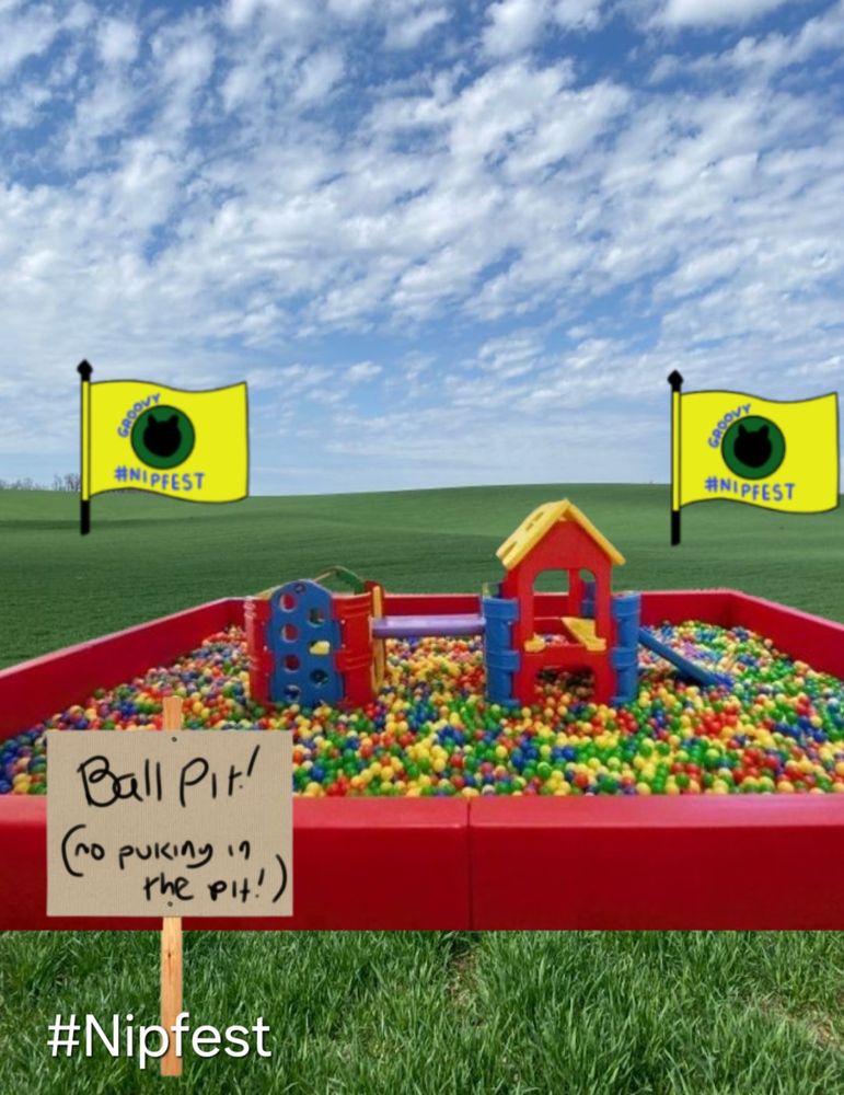 Ball pit. No puking please.