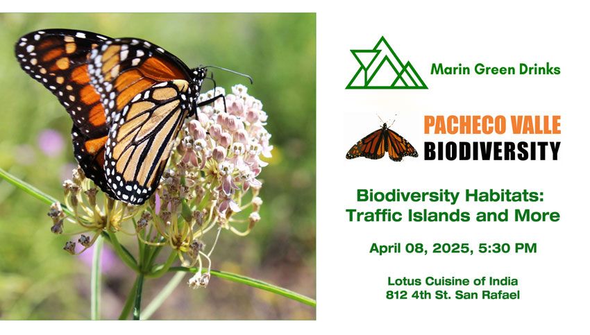 Marin Green Drinks - April - Pacheco Valle Biodiversity - Monarch butterfly on a milkweed, Logos and texts. 