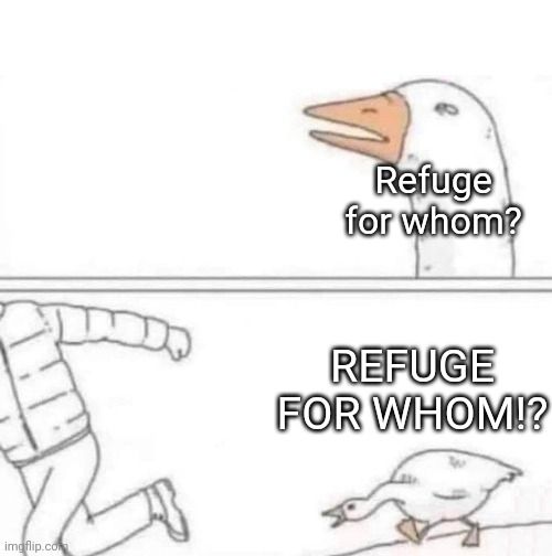 Goose chase meme asking "refuge for whom?"