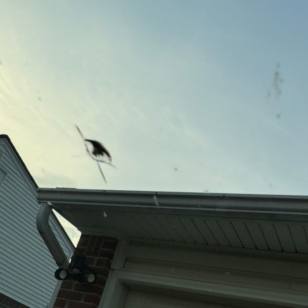 Deep crack in the windshield. Stupid gravel and wrong place, wrong time.