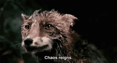A dirty fox saying 'chaos reigns'