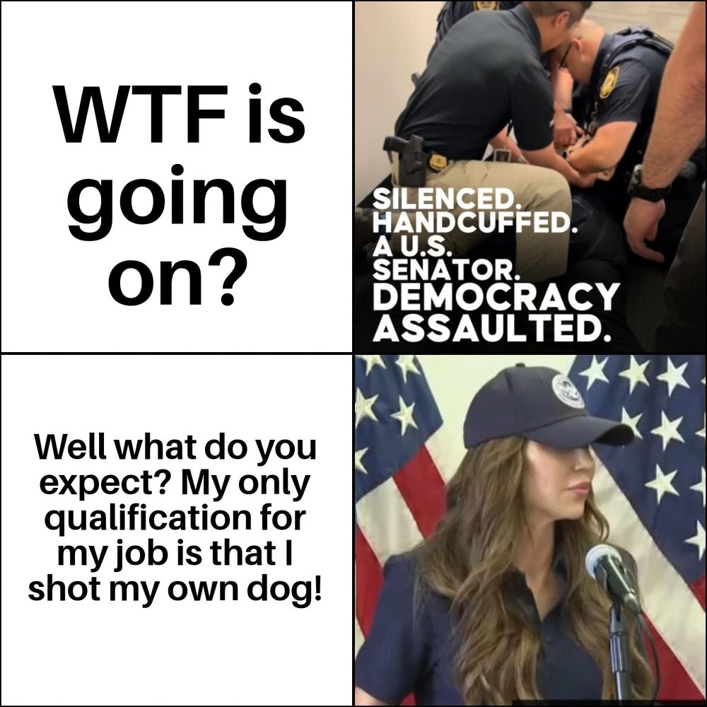 Top panel: WTF is going on? Silenced. Handcuffed. A US Senator Democracy Assaulted. Bottom panel: Well what do you expect my only qualification for my job is that I shot my own dog! 
