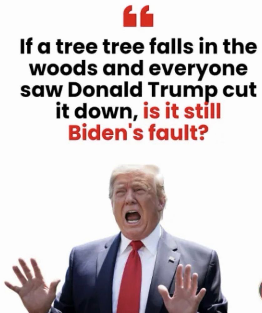 
If a tree tree falls in the woods and everyone saw Donald Trump cut it down, is it still Biden's fault?