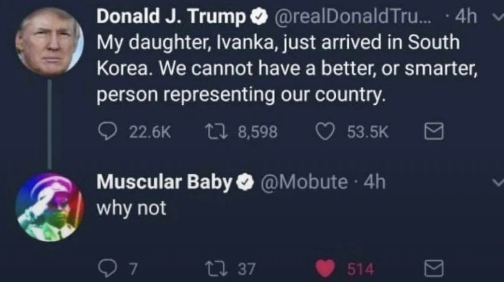 Donald J. Trump • @realDonaldTru... • 4h My daughter, Ivanka, just arrived in South Korea. We cannot have a better, or smarter, person representing our country.

Muscular Baby O
@Mobute 4h
why not