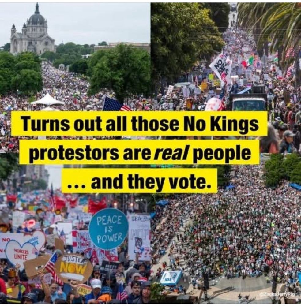 
Turns out all those No Kings protestors are real people ...and they vote.
