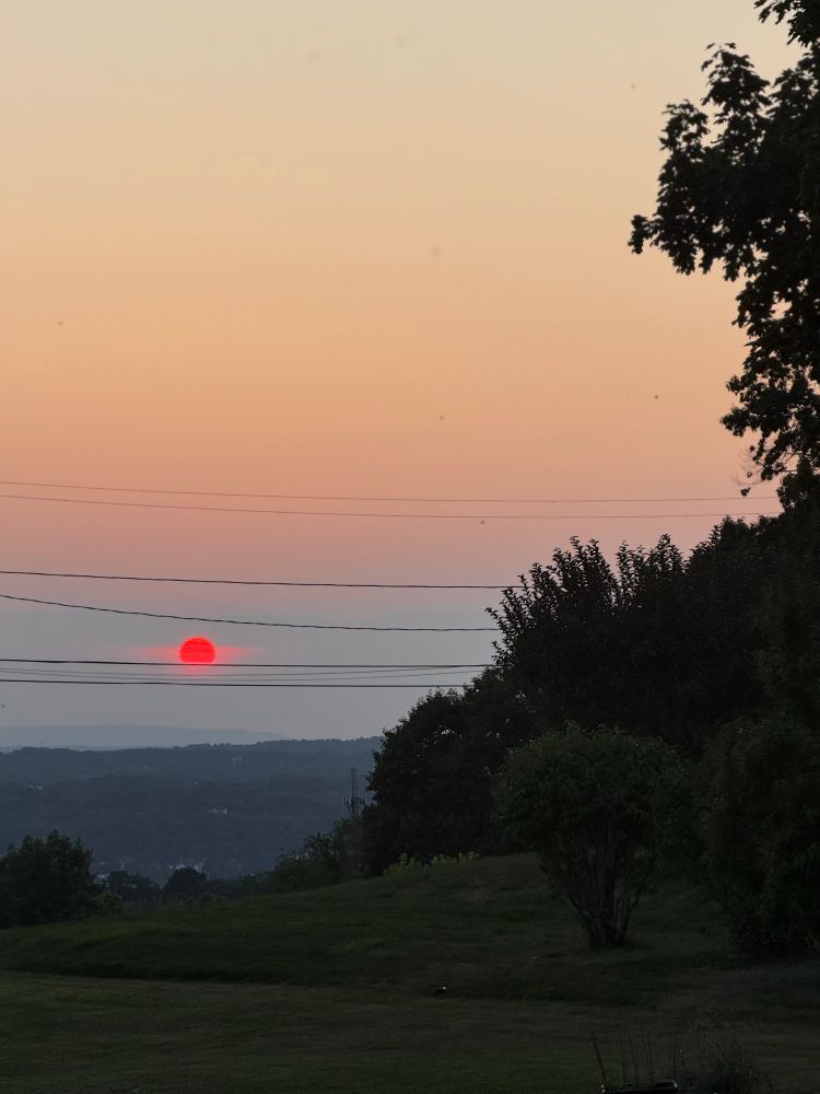 a sunset with wires 