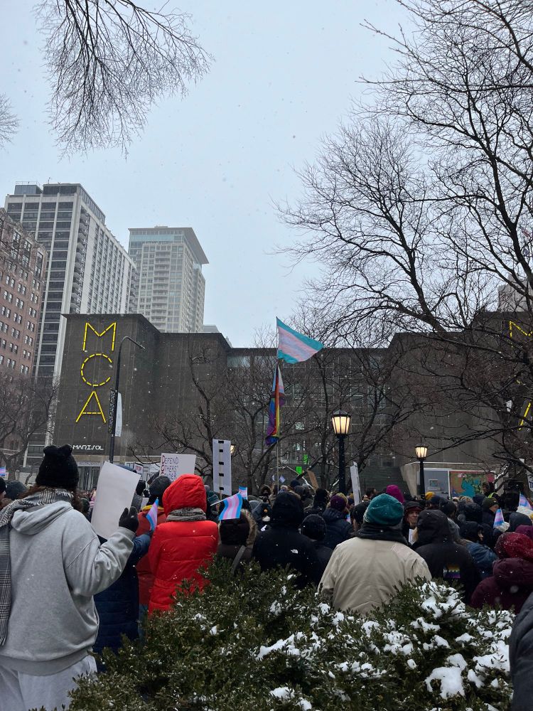 Crowd at park outside Lurie’s.