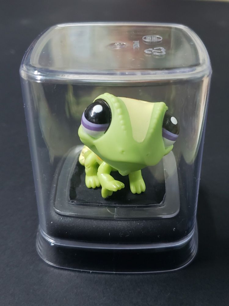 Chameleon littlest pet shot inside acrylic hermetic pot