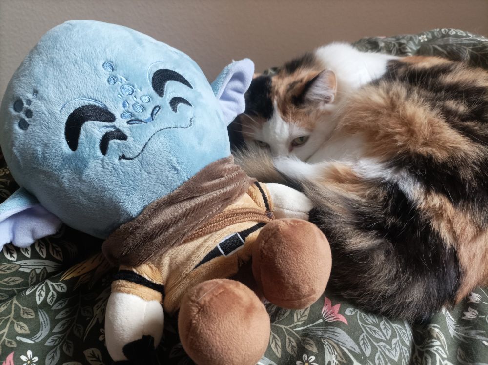 My calico cat curled up on my bed next to an hearthian plushie from Outer Wilds 