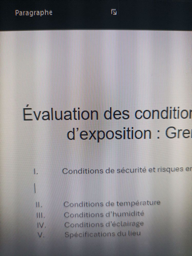 Photo de mon écran avec un sommaire de devoir: grand titre Évaluation des conditions d'exposition, puis des sous parties conditions de sécurité, temperature, humidité, éclairage et spécificités du lieu 