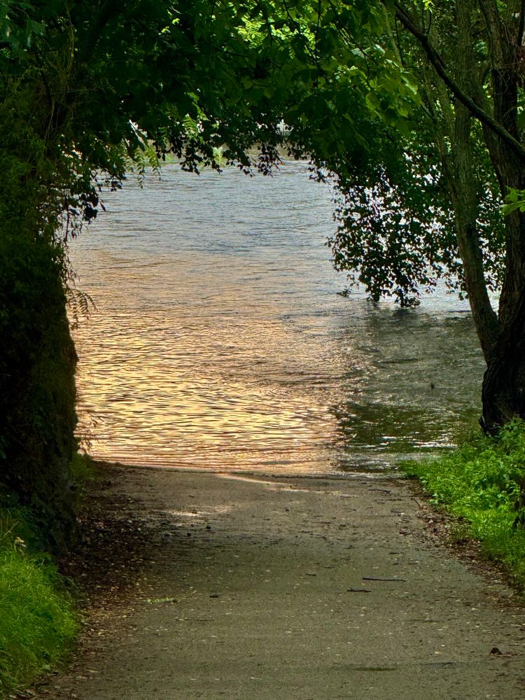 Ein dunkler, schmaler Waldweg führt zu einem Wasserarm, umrahmt von grünen Büschen und Bäumen, mit Blick auf das Wasser im Hintergrund.