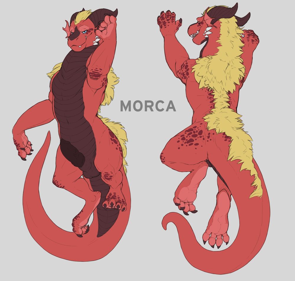 Quad Morca reference page