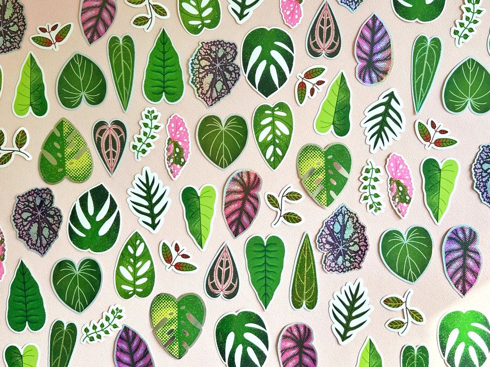 Katie May Designs various houseplant leaf stickers mixed together on a light pink background. Stickers include different varieties of monstera, philodendron, anthurium, hoya and begonia.