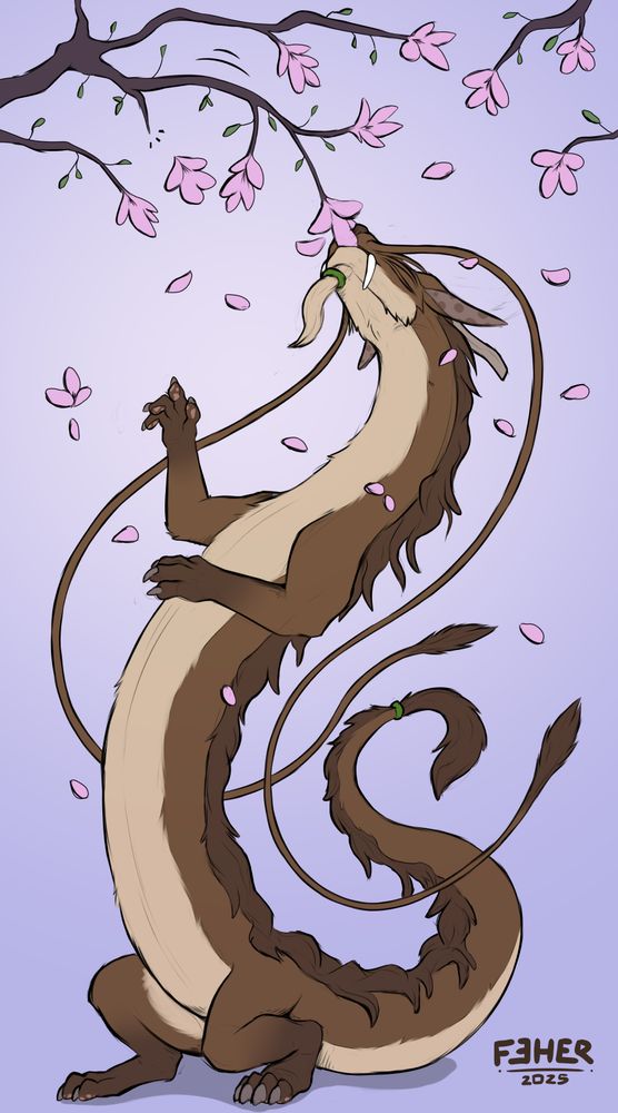 Cherry Blossom Noodle