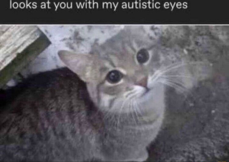 Comment image