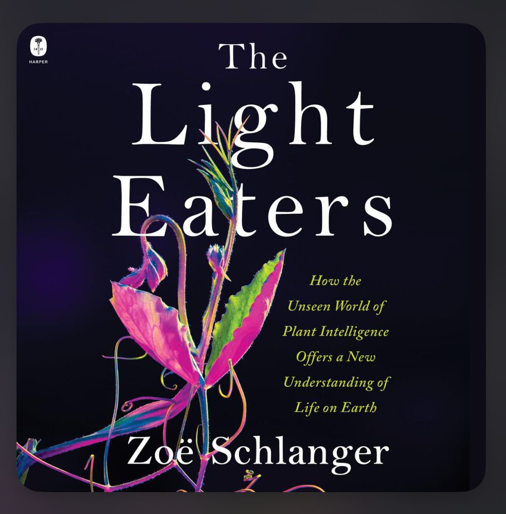 Audio book cover of The Light Eaters by Zoe Schlanger