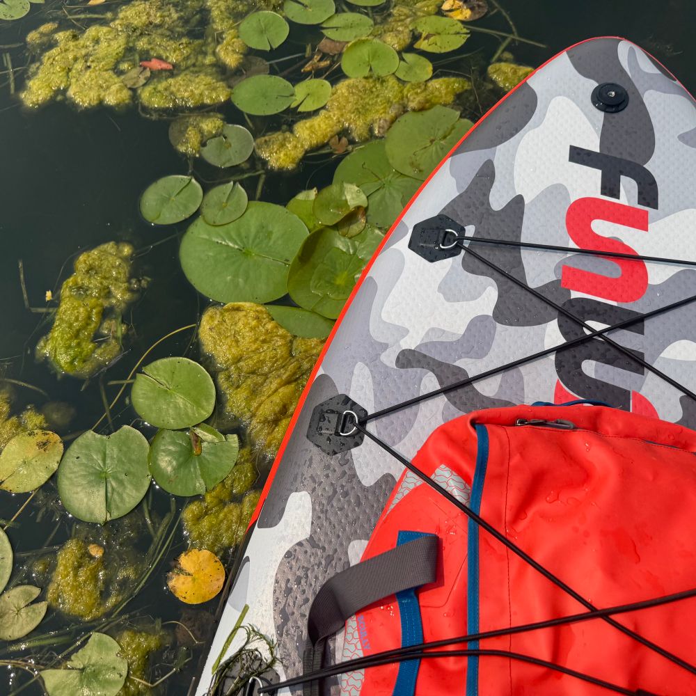 Lily pads
