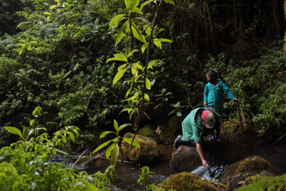 Do Indigenous peoples really conserve 80% of the world’s biodiversity?