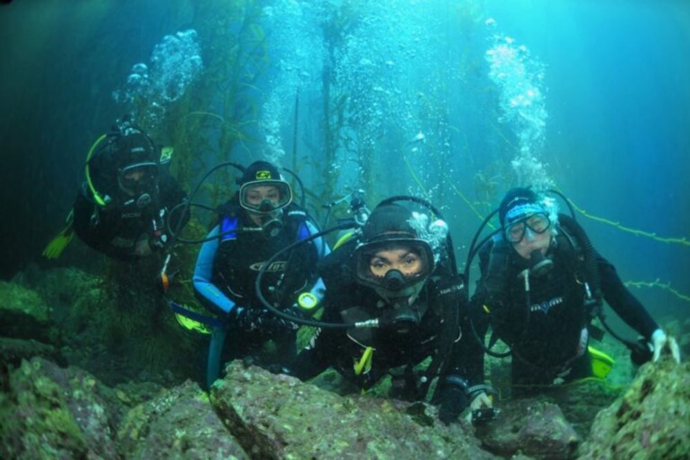 ‘Mermaids’ dive to study and protect Mexican fishing grounds