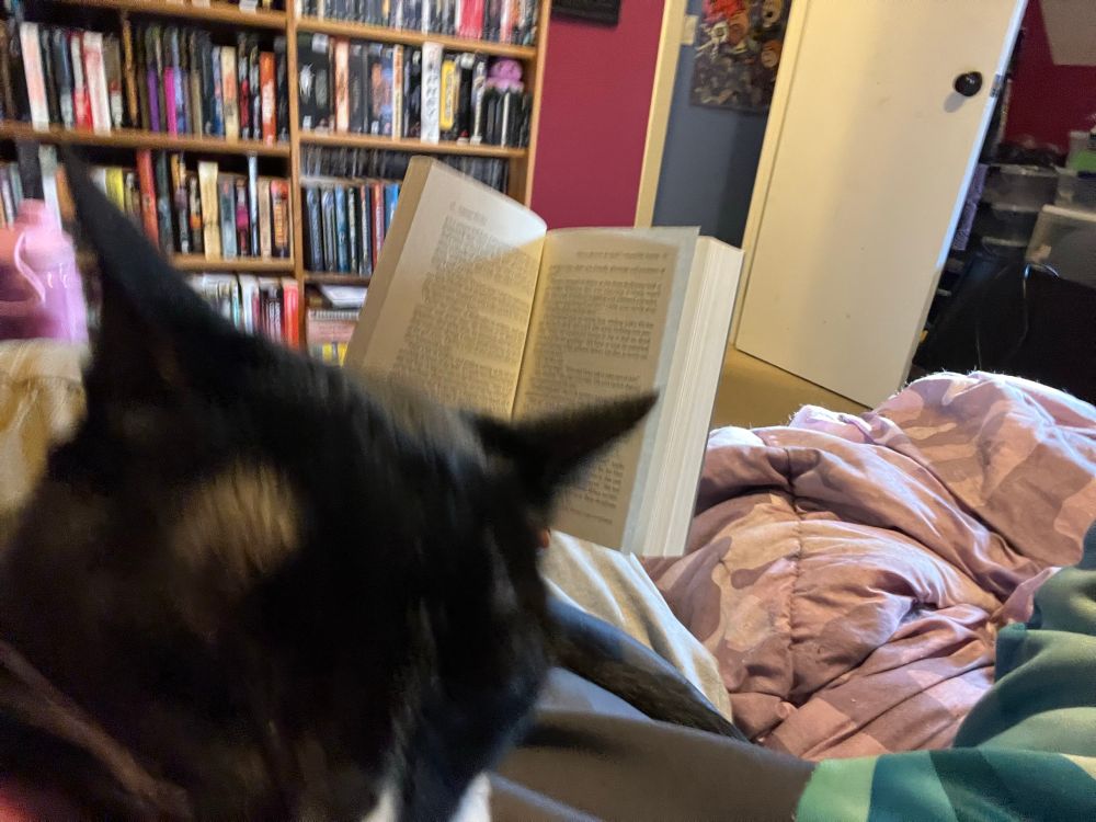 In focus, on a lap on a couch, an open paperback of How to Become the Dark Lord and Die Trying. Blurry in the foreground, a tuxedo cat’s black head partially blocking the view if the book, ears looking slightly annoyed at me for putting a phone in his face to snap the pic but *maybe he should have thought of that before putting his face in my face*. I say turnabout is fair play. 