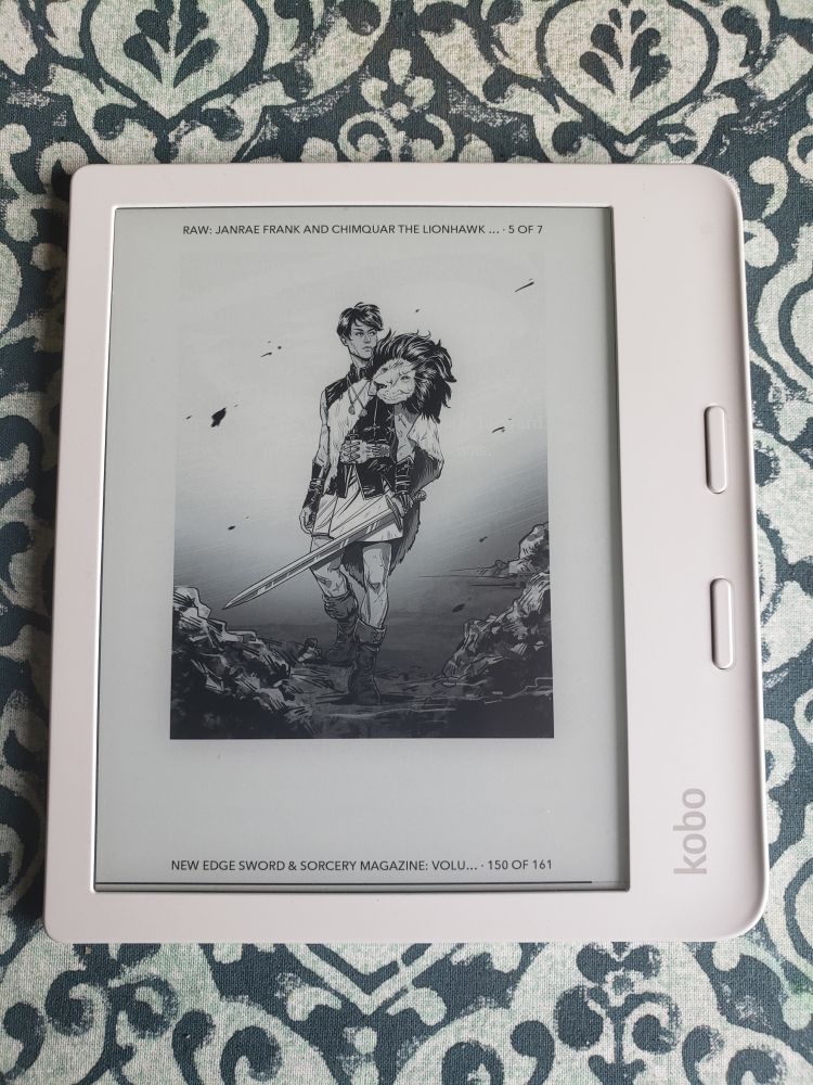 On a Kobo screen, black & white of a dapper figure with sword, barbarian's garb, short hair and a lion head on one shoulder as a kind of off-shoulder cloak. 