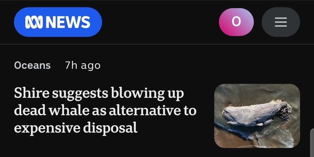 ABC News: "Shire suggests blowing up dead whale as alternative to expensive disposal"