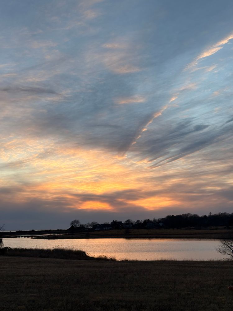 Salt marsh at sunset. 