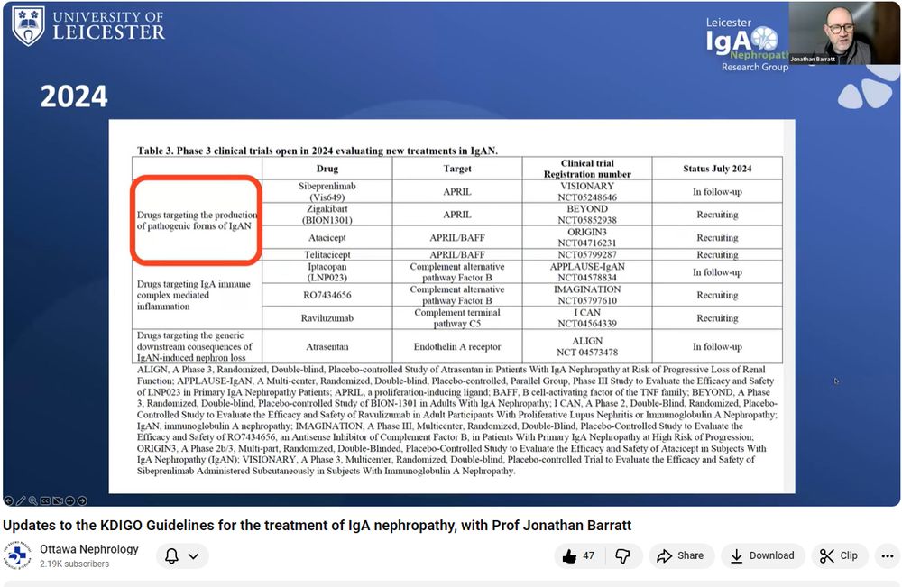 Slide screenshot from Ottawa Renal Grand Rounds January 2025 presentation of potential new IgAN drugs based on clinical trials.