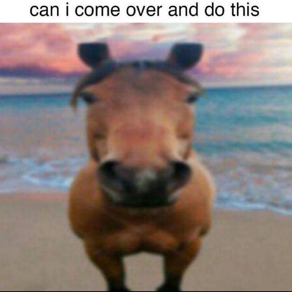 Comment image