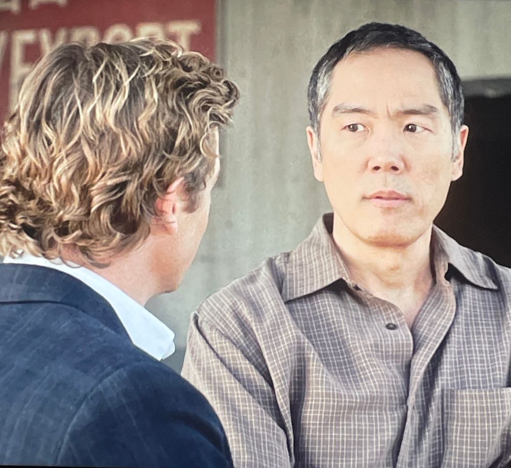 Jane e a AIC investigam o assassinato de um designer de roupas em desgraça, enquanto a agente do FBI Susan Darcy continua sua investigação sobre Red John.