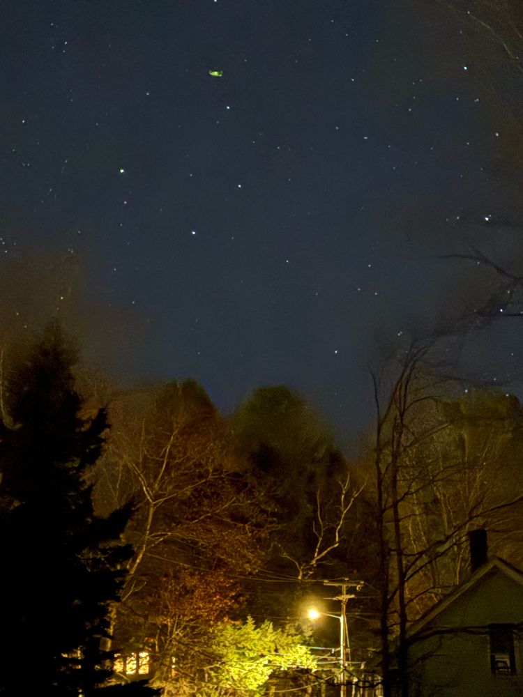 A starry sky above a lamplight, trees, and a house.