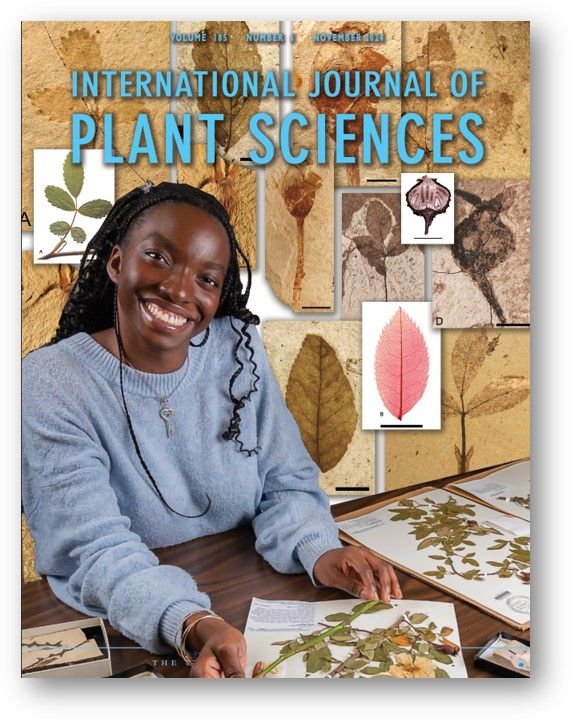 Mock IJPS cover showing undergraduate researcher at work.